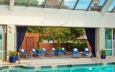 The indoor pool at Royal Sonesta Boston has plenty of natural light, with sun loungers and potted plants by the side.