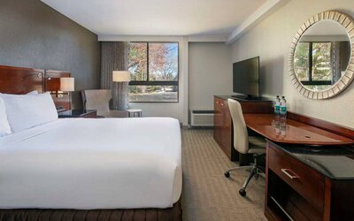 Sonesta Charlotte Executive Park double bed guest room, featuring window, armchair, workspace desk and chair, and TV.
