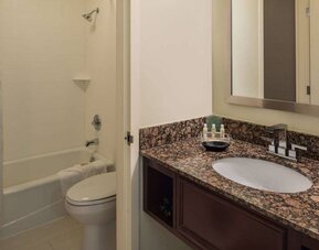 Sonesta Chicago O'Hare Airport Rosemont guest bathroom, furnished with shower and bath, lavatory, and sink.