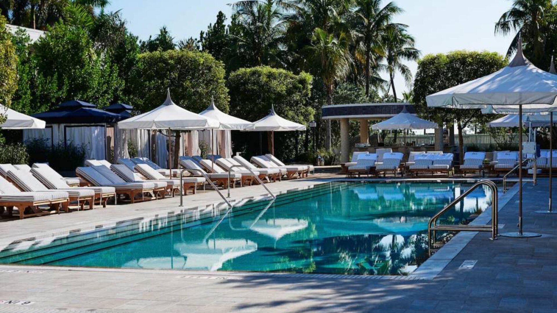 Nautilus by Sonesta’s outdoor pool has sun loungers (with shade available) by the side, and palm trees looming in the background.