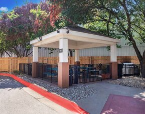 Sonesta Simply Suites Austin South’s gazebo provides benches and tables with barbecue facilities where guests can dine and relax.