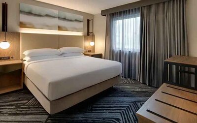 King room with natural light at Embassy Suites By Hilton San Rafael Marin County.
