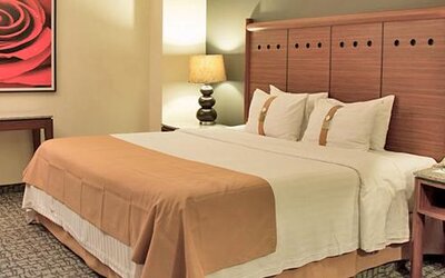 Hotel Holiday Inn Mexico City-Trade Center