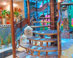 Hotel Coyotito Beds Coyoacán