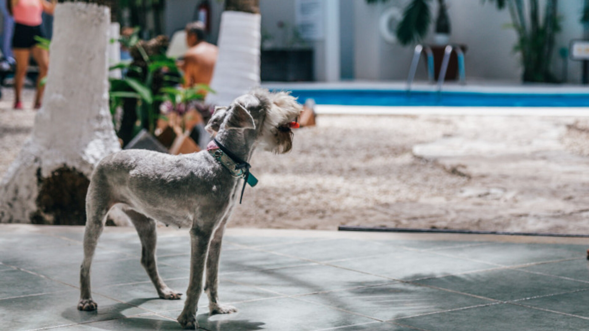 Hacienda Paradise Boutique Hotel By Xperience Hotels