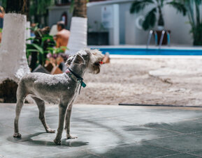 Hacienda Paradise Boutique Hotel By Xperience Hotels