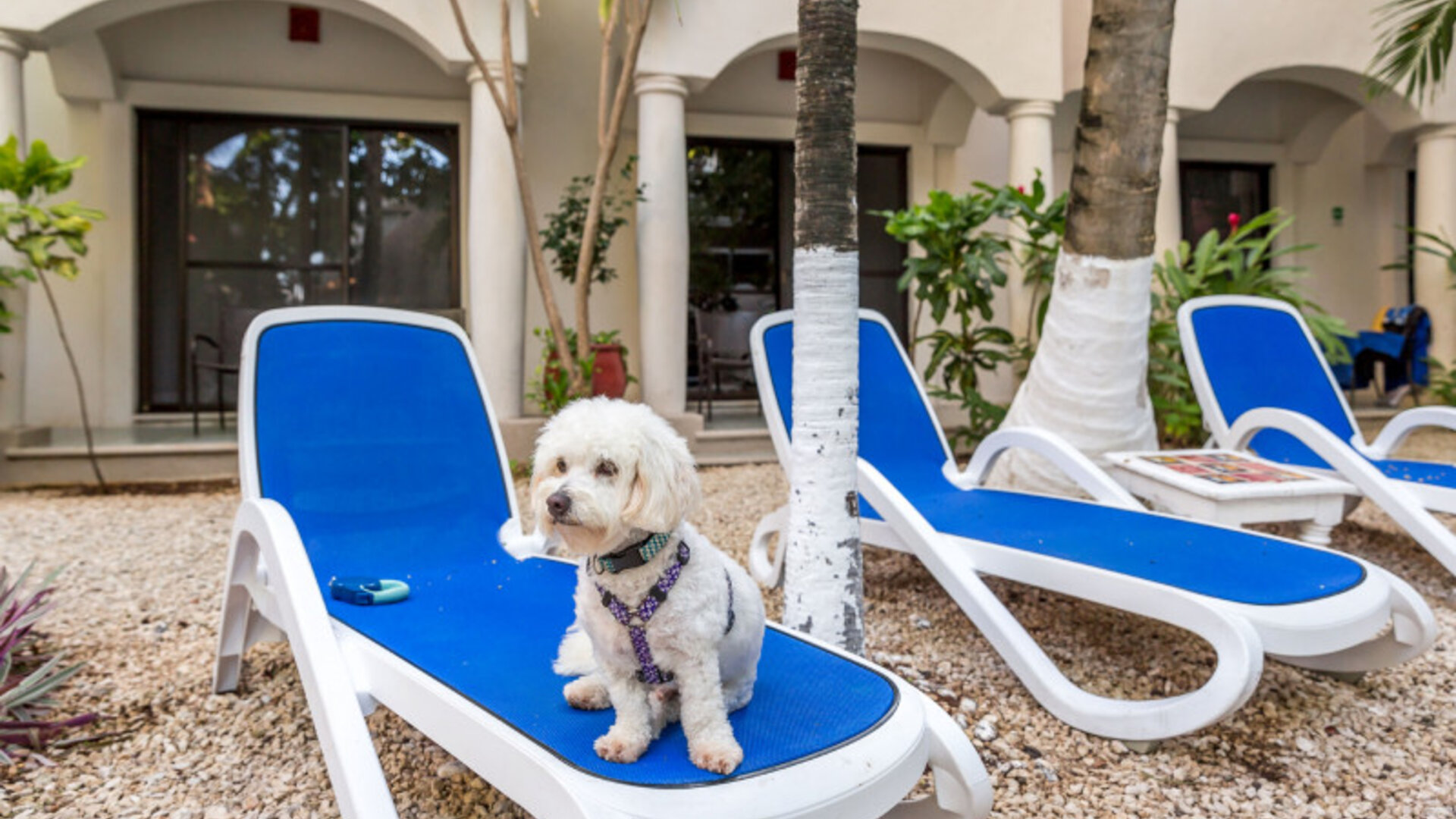 Hacienda Paradise Boutique Hotel By Xperience Hotels