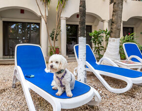 Hacienda Paradise Boutique Hotel By Xperience Hotels