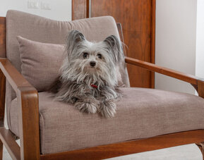 The Panoramic By Xperience Hotels