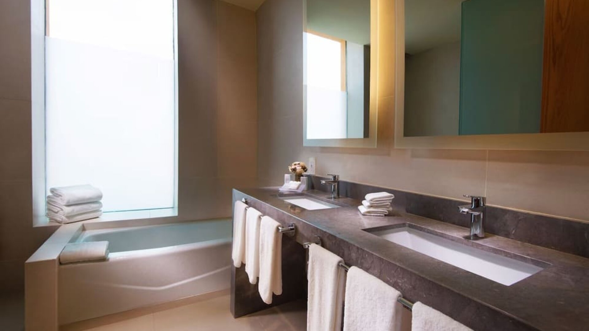 Guest bathroom with bath at Hilton Garden Inn Monterrey Airport, Nuevo Leon, Mexico.