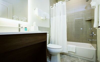 Guest bathroom at Palace Inn Westpark Blue.