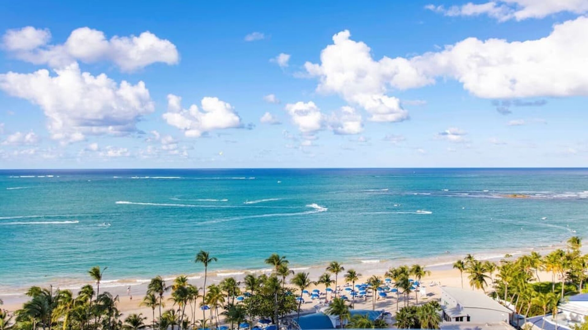 Beach view at Royal Sonesta San Juan.