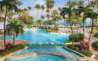 Outdoor pool with palm trees at Royal Sonesta San Juan.