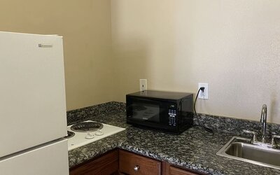 Fridge and microwave at Palace Inn Westheimer.
