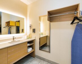 Guest bathroom with shower at Palace Inn Blue IAH East.