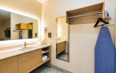 Guest bathroom with shower at Palace Inn Blue IAH East.