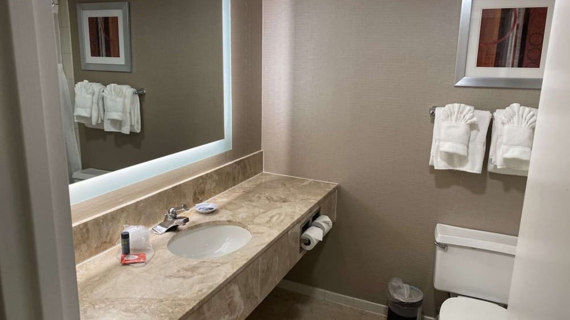 Guest bathroom at Laguardia Plaza Hotel.