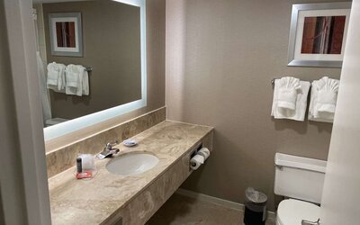 Guest bathroom at Laguardia Plaza Hotel.