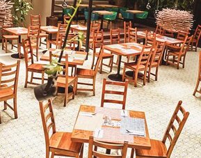 Hotel Factory Green (Calle 80 Occidente)