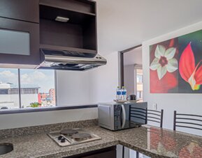 ICON 48 Luxury Apartasuites