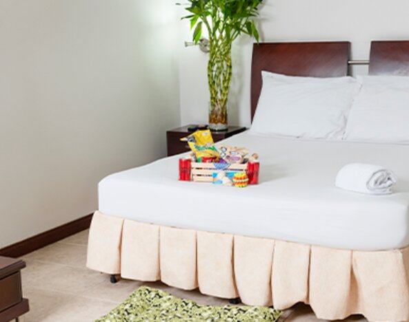 Hotel Plaza Las Américas