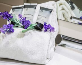 Hotel SM Hotel Sant Antoni