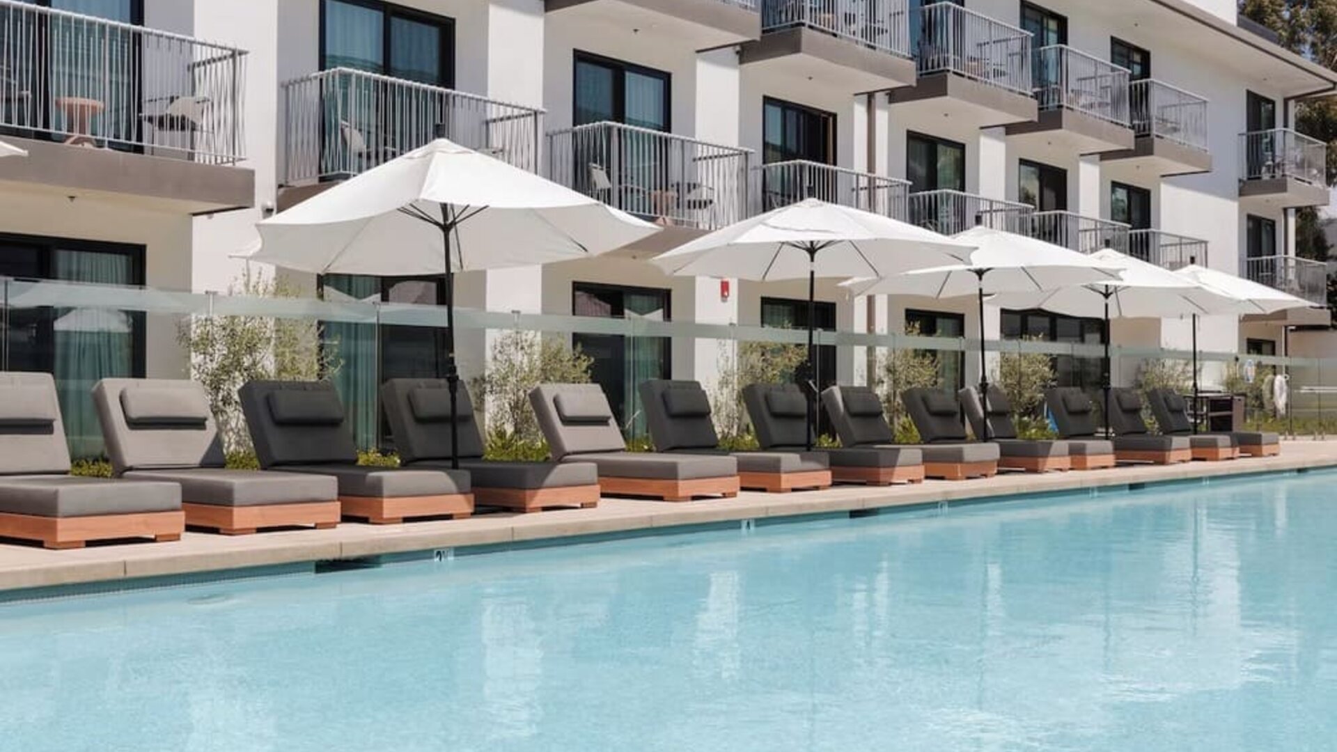 Outdoor pool with loungers and umbrellas at Lum Hotel Inglewood.