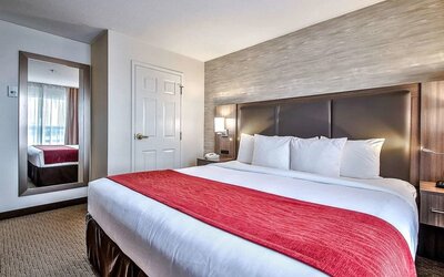 Comfortable king room at Comfort Inn And Suites Calgary South.