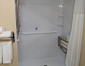 Accessible roll-in shower featuring safety grab bars, spacious layout, and mobility-friendly amenities at Best Western Braintree.