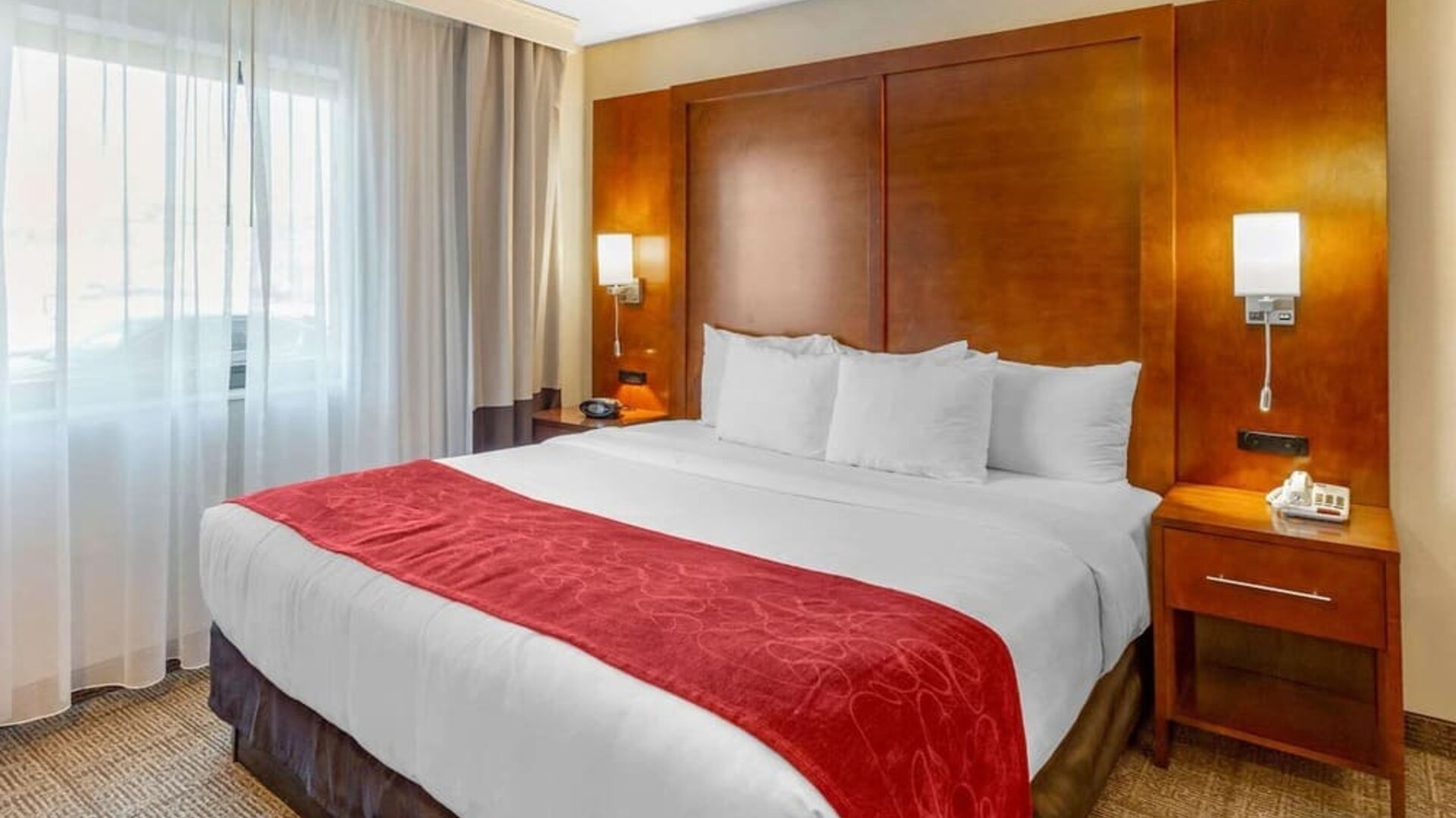 Romantic king room with natural light at Comfort Suites Oakbrook Terrace.