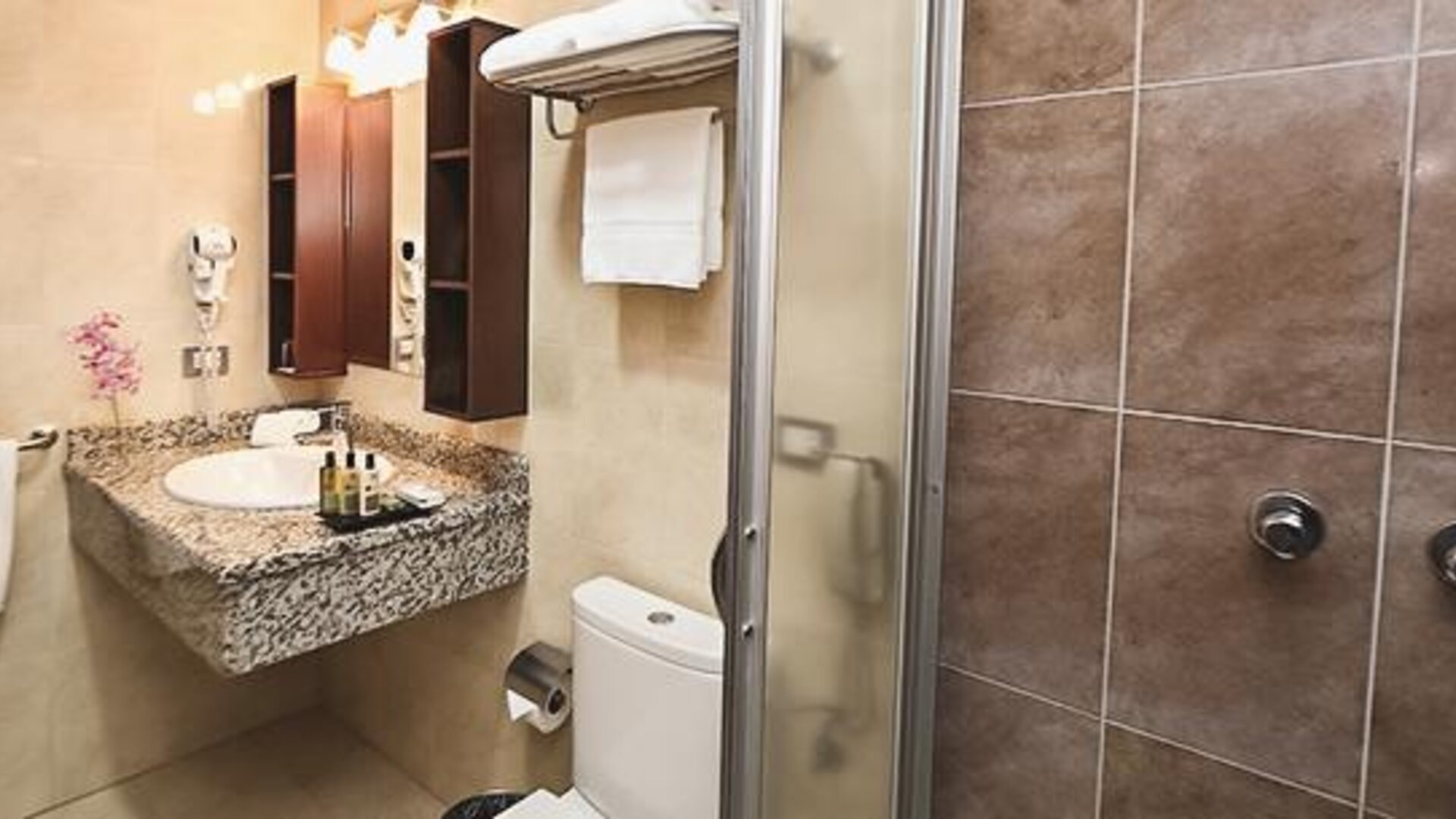 Hotel Ciudad de David