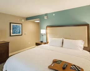 King guest room with plush bedding, flat-screen television, and modern furnishings at Hampton Inn & Suites Orlando at SeaWorld.