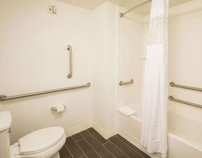 Accessible bathroom with bathtub, grab bars, and mobility-friendly layout at Hampton Inn & Suites Orlando at SeaWorld.