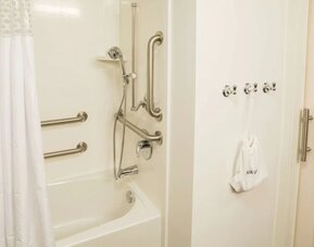 Accessible bathroom with bathtub, grab bars, handheld showerhead, and mobility-friendly features at Hampton Inn & Suites Orlando at SeaWorld.