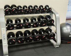 Dumbbell rack with free weights and exercise ball in the fitness center at Hampton Inn & Suites Orlando at SeaWorld.