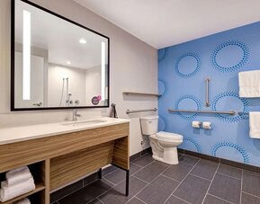 : Accessible bathroom with roll-in shower, vanity, grab bars, and modern amenities at Tru By Hilton Lithia Springs.