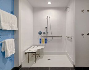 Accessible roll-in shower with grab bars, shower seat, and modern fixtures at Tru By Hilton Lithia Springs.