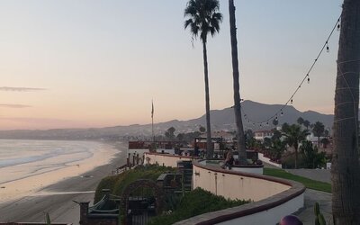 Scenic beachfront walkway lined with palm trees and panoramic coastline views at Casa Playa Baja Resort.