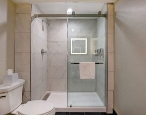 Modern walk-in shower with glass enclosure and premium bath amenities at Four Points by Sheraton St. Catharines Niagara Suites.