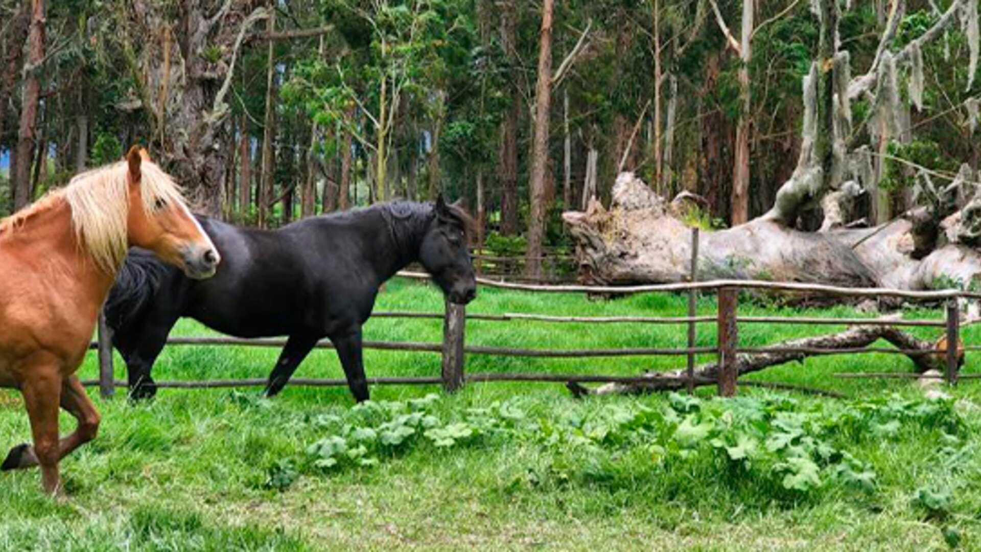 Hotel Hacienda Suescún