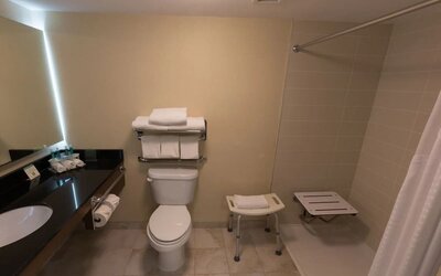 Accessible guest bathroom with roll-in shower, shower seat, and safety features at Holiday Inn Express Edmonton Downtown, an IHG Hotel.