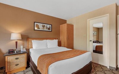 Cozy guest room with a queen bed and wardrobe at Comfort Inn Brantford.