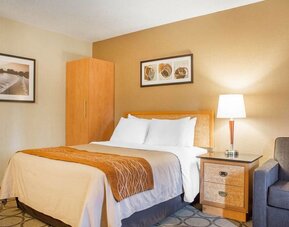 Guest room with a queen bed and bedside lighting at Comfort Inn Brantford.