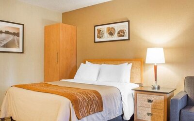 Guest room with a queen bed and bedside lighting at Comfort Inn Brantford.
