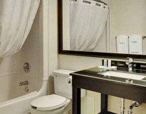 Guest bathroom with a bathtub, vanity, and large mirror at Comfort Inn Brandon.