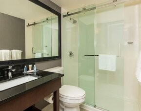 Guest bathroom with a glass walk-in shower and granite vanity at Comfort Inn Ottawa East.