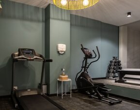 Fitness room at 103 Wonderful House equipped with a treadmill, elliptical machine, dumbbells and workout bench.