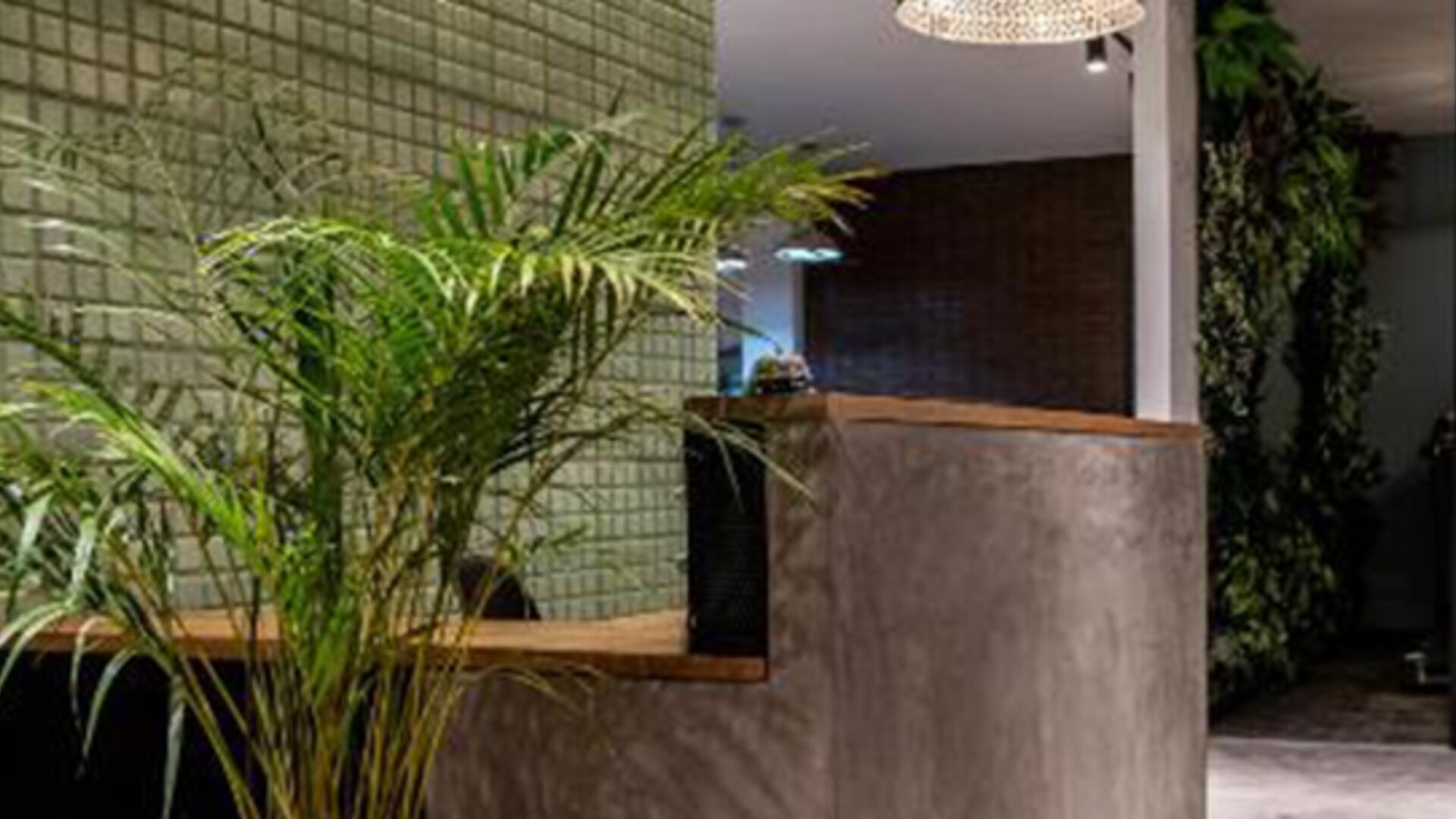 Reception area at 103 Wonderful House featuring a contemporary front desk, green tiled wall and lush indoor plants.