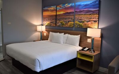 Guest room at Days Inn & Suites By Wyndham Downtown/University Of Houston featuring a king bed, bedside lighting and colorful landscape artwork.