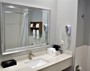 Bathroom vanity at Days Inn & Suites By Wyndham Downtown/University Of Houston featuring a large mirror, sink, hair dryer and countertop amenities.